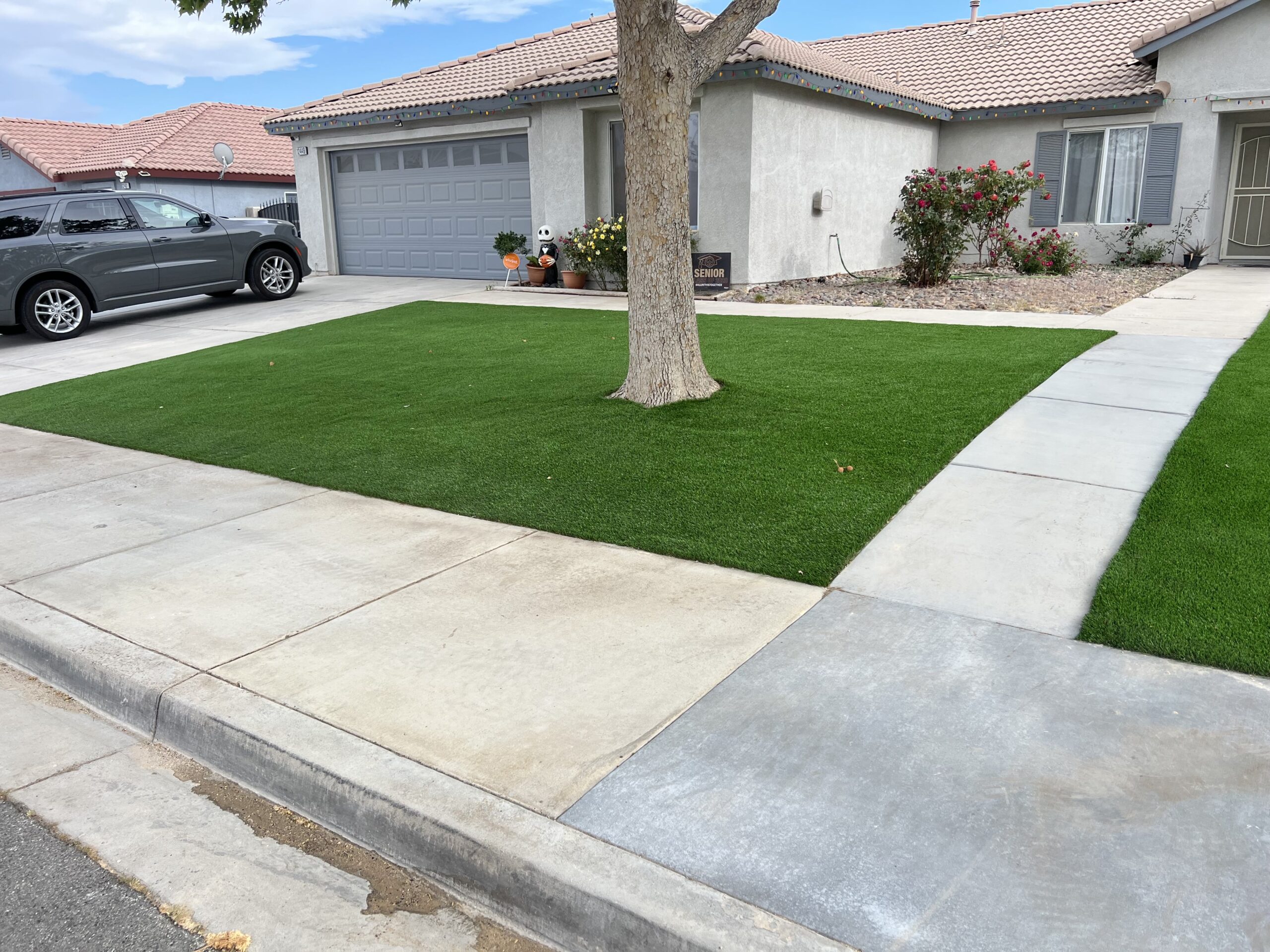 Artificial Turf